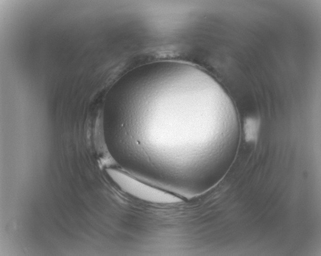 X0000067001444200604072137