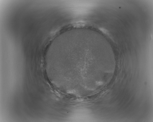 X0000067001445200604072137