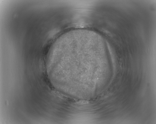 X0000067001446200604072136