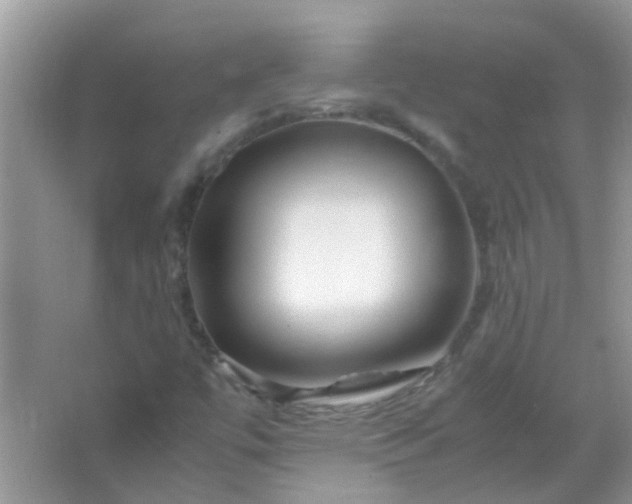 X0000067001447200604072136