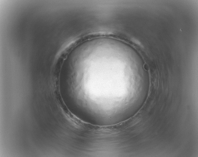 X0000067001448200604072136