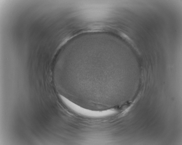 X0000067001449200604072136