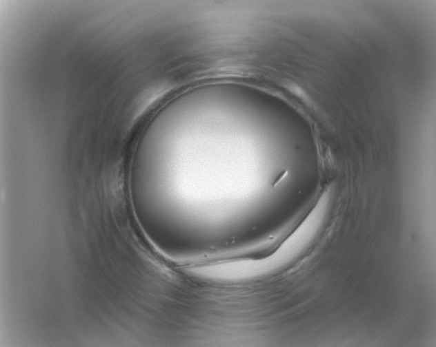 X0000067001450200604072136