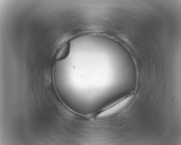 X0000067001451200604072136