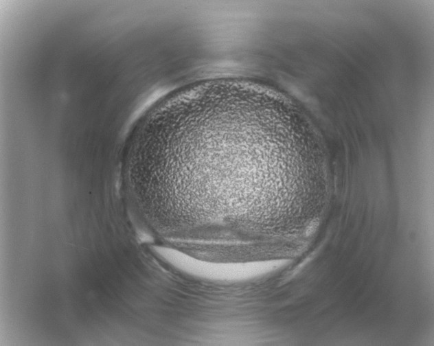 X0000067001453200604072136