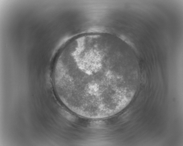 X0000067001454200604072136