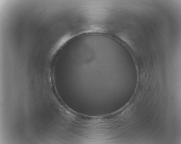 X0000067001455200604072136