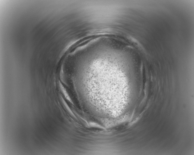 X0000067001457200604072136