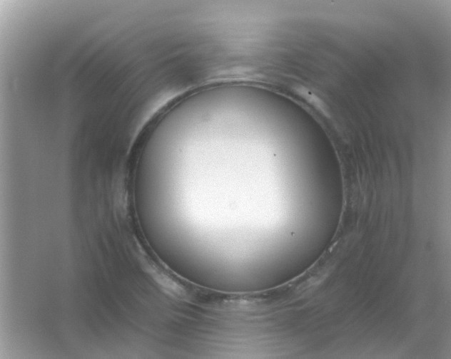 X0000067001458200604072136