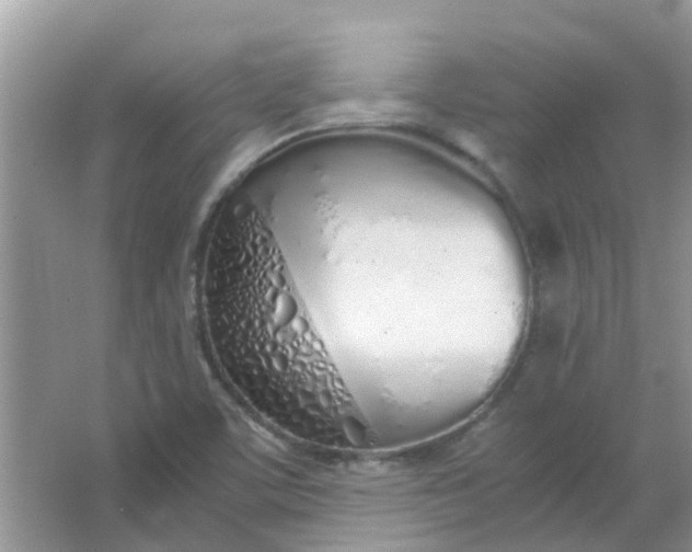 X0000067001459200604072136