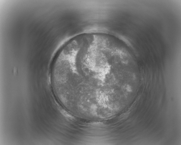 X0000067001462200604072136