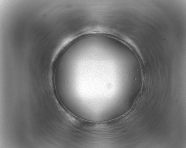 X0000067001464200604072136