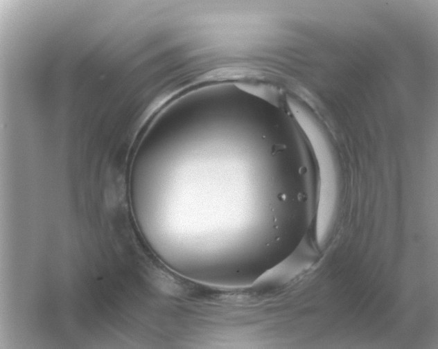 X0000067001465200604072136