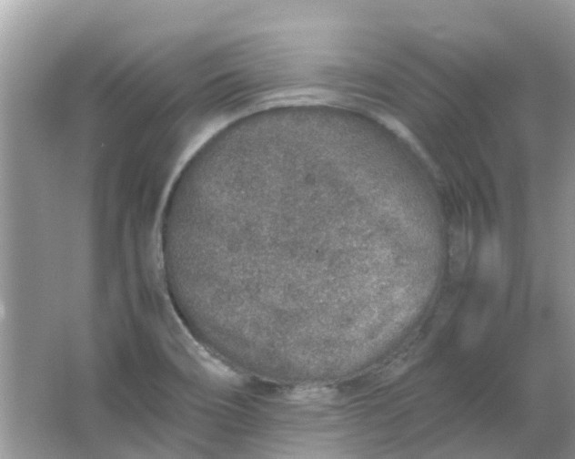 X0000067001466200604072136