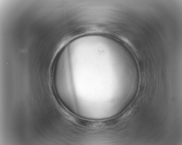 X0000067001467200604072136