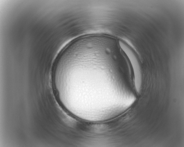 X0000067001468200604072136