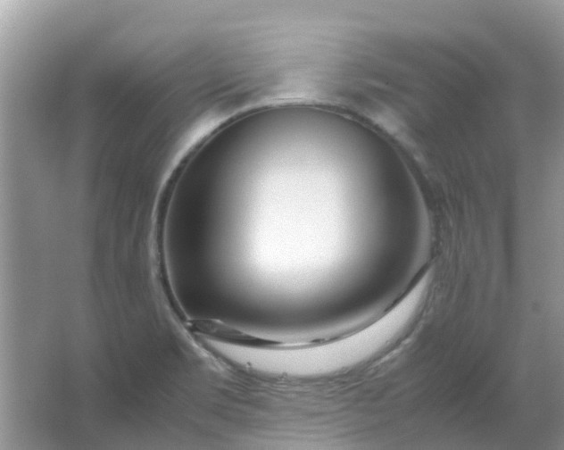 X0000067001469200604072136