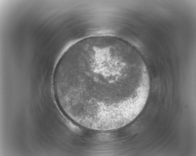 X0000067001470200604072136