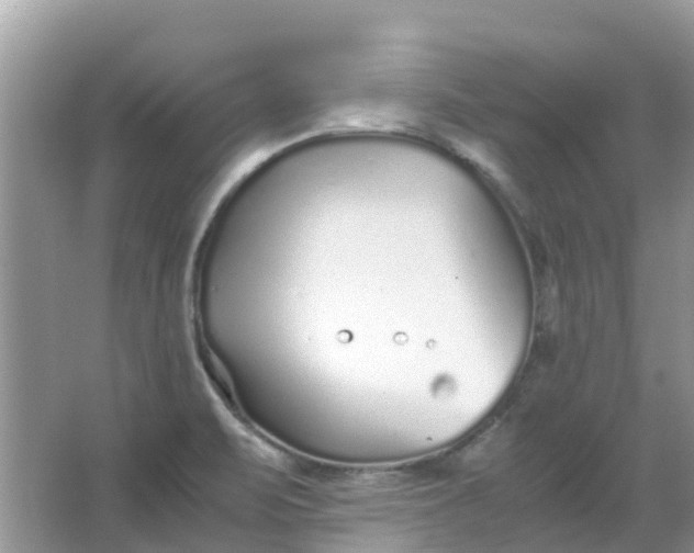 X0000067001471200604072136