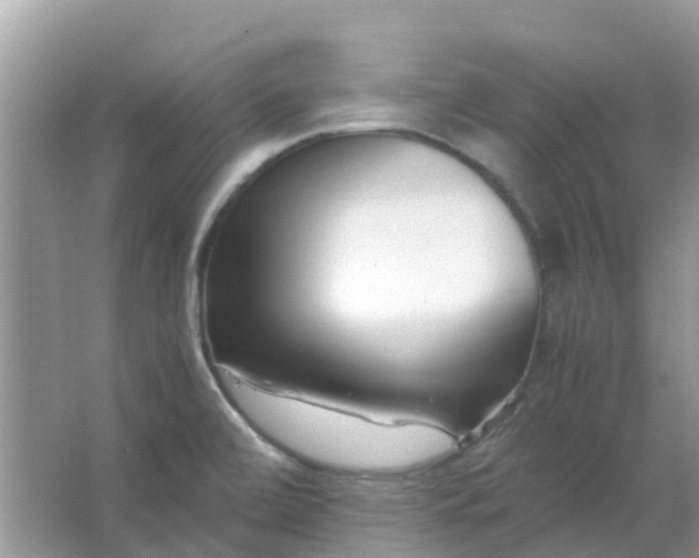 X0000067001472200604072136