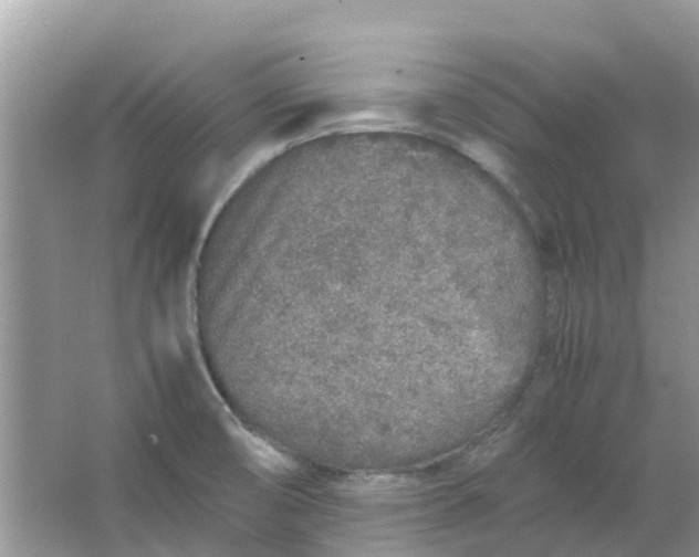 X0000067001474200604072136