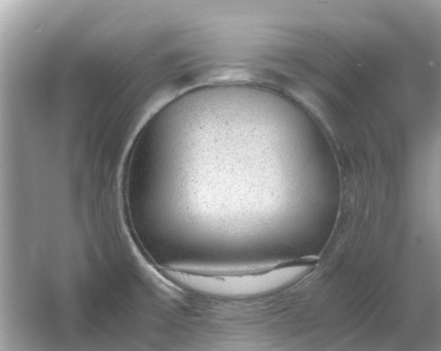 X0000067001475200604072136