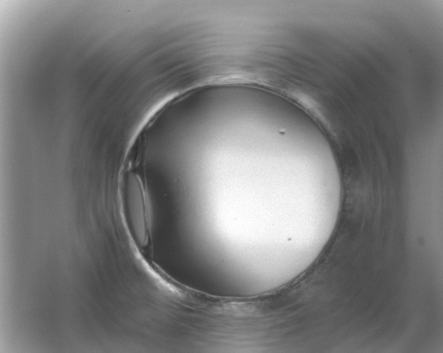 X0000067001476200604072136