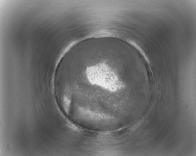 X0000067001477200604072136