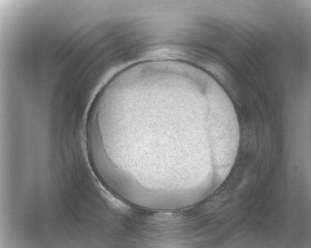 X0000067001478200604072136