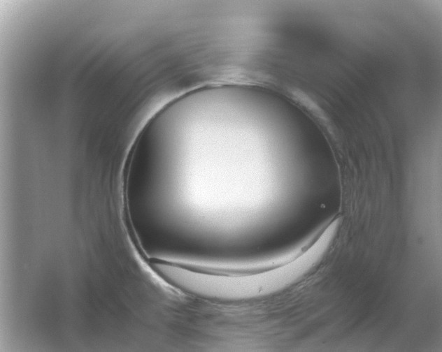 X0000067001479200604072136