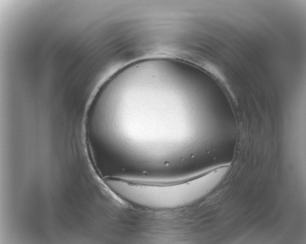 X0000067001480200604072136