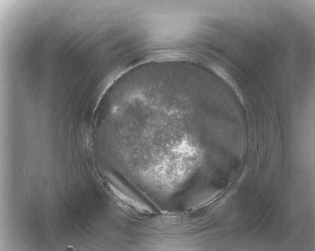 X0000067001481200604072136