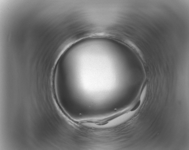 X0000067001483200604072136