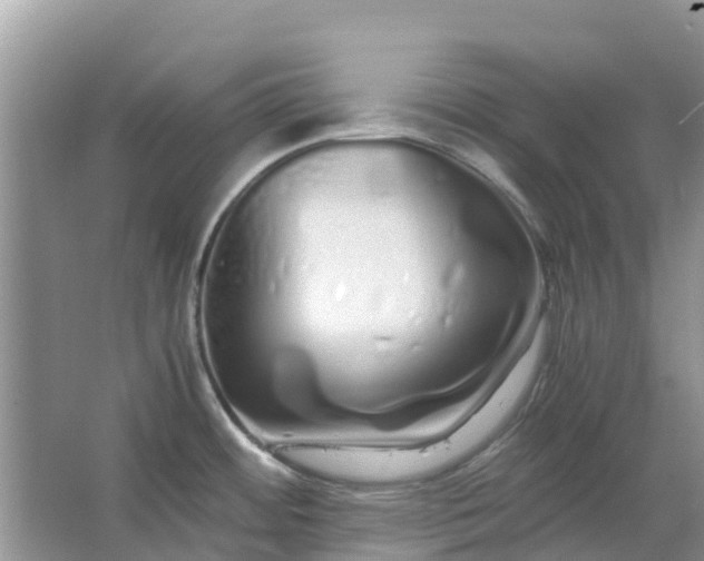 X0000067001484200604072136