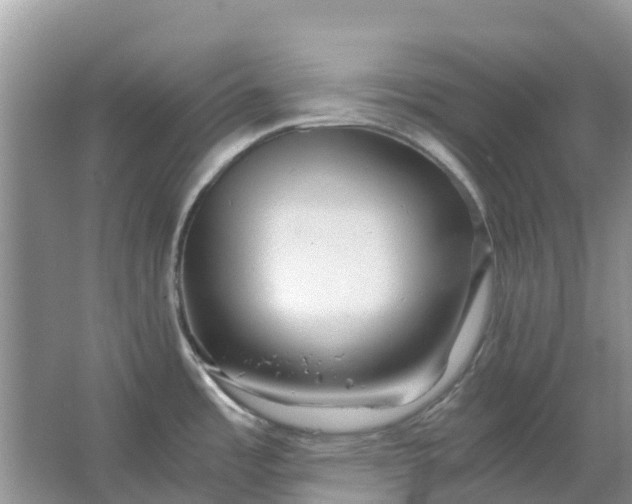 X0000067001485200604072136