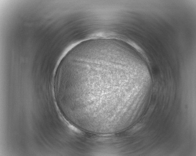 X0000067001486200604072136