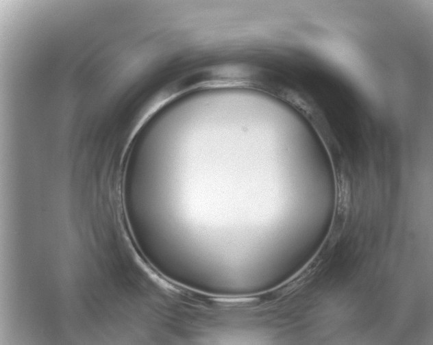 X0000067001487200604072136