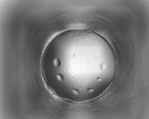 X0000067001488200604072136