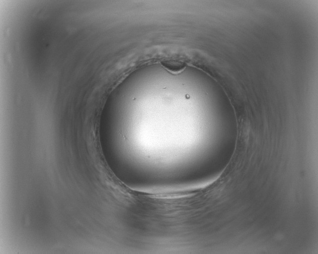 X0000067001489200604072135