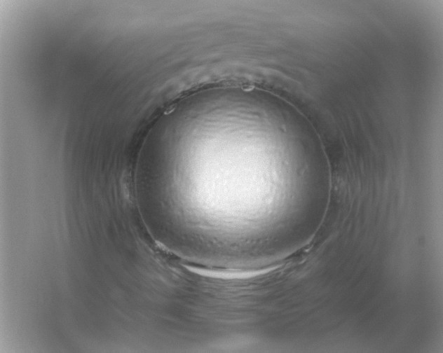 X0000067001490200604072135