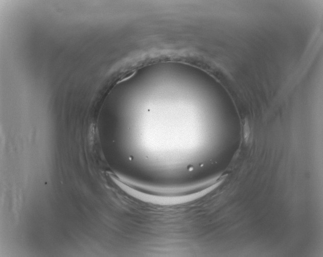 X0000067001492200604072135