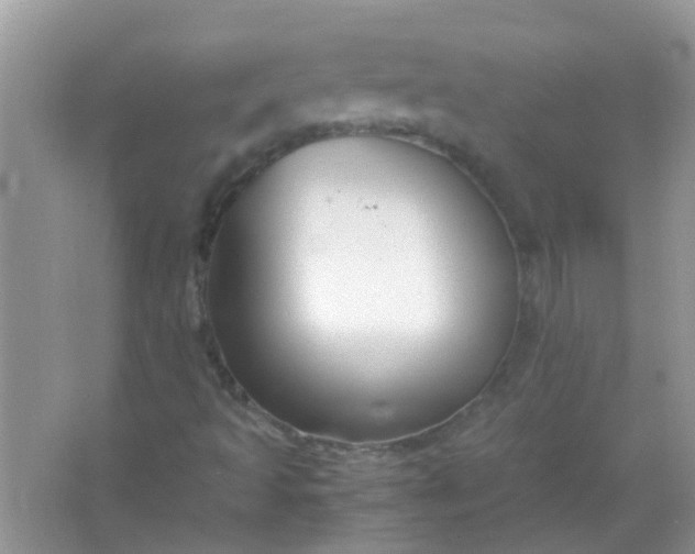 X0000067001493200604072135