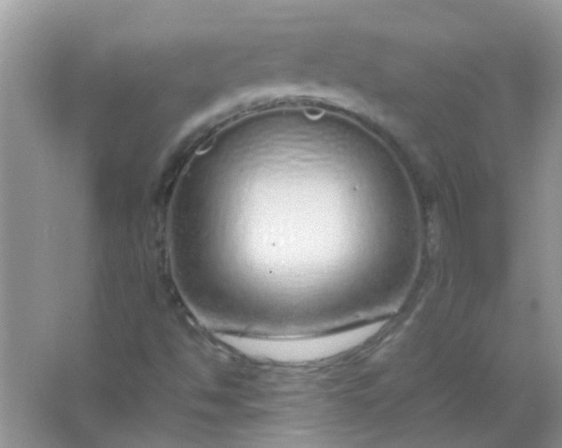 X0000067001494200604072135