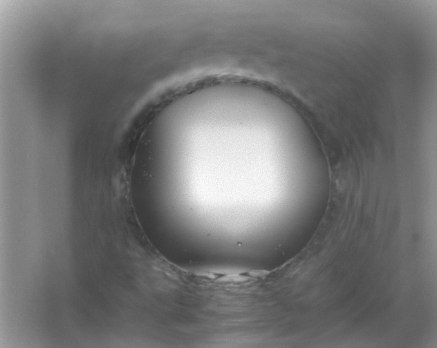 X0000067001495200604072135