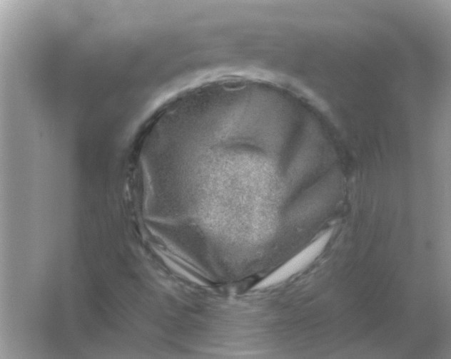 X0000067001496200604072135