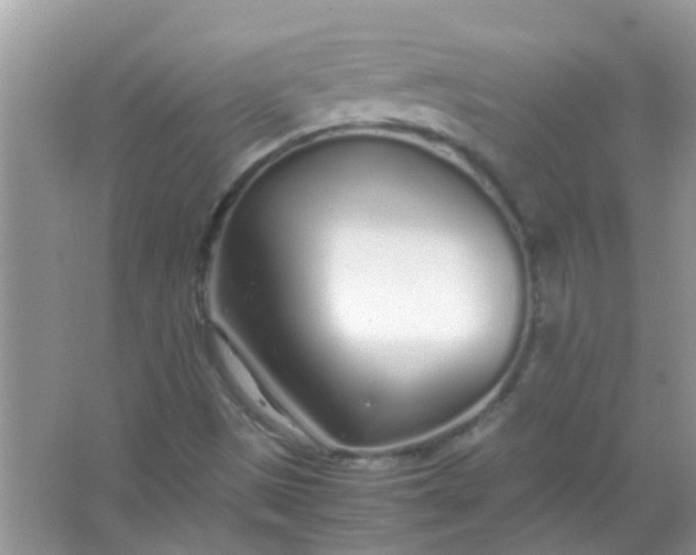 X0000067001497200604072135