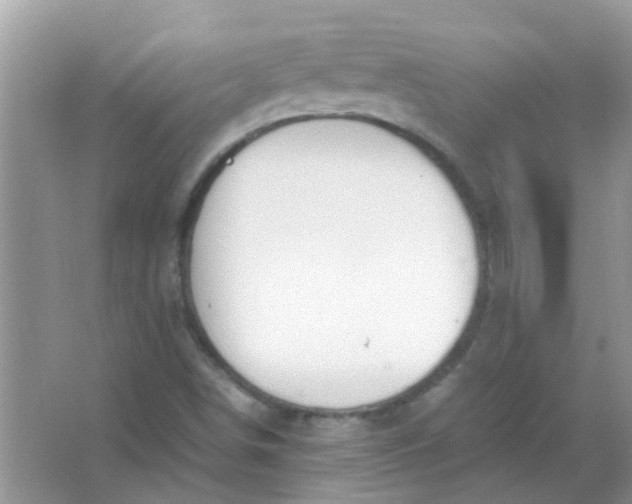 X0000067001498200604072135