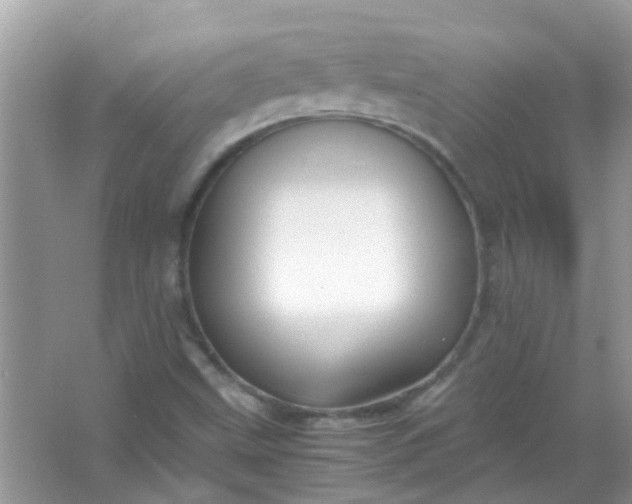 X0000067001499200604072135