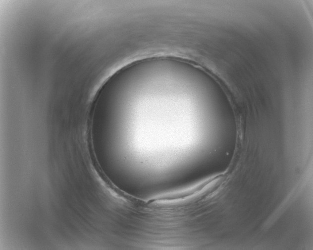 X0000067001500200604072135