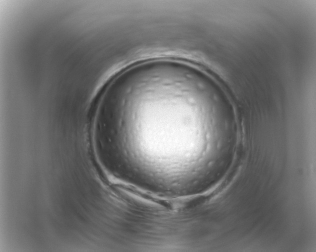 X0000067001501200604072135